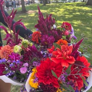 Meet your Posher, Claire